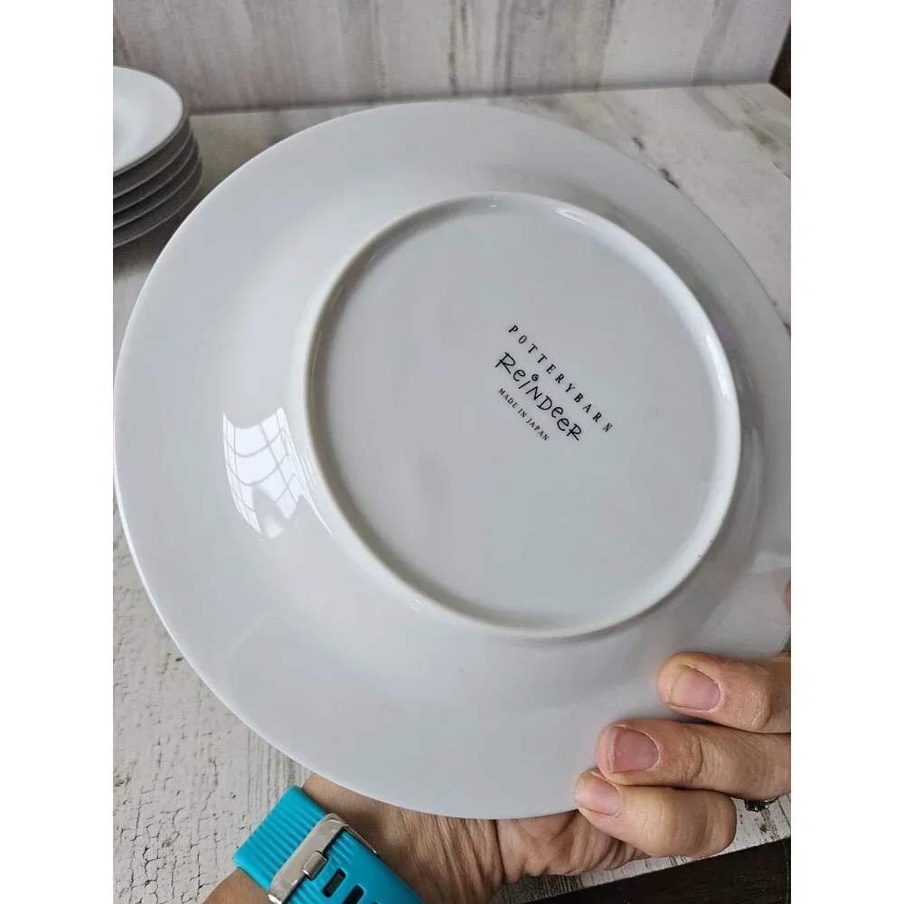Pottery Barn‎ comet star reindeer salad plate 8.5